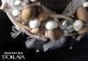 Pióra gęsie / szare / 12-21 cm / 20 szt.