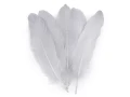 Pióra gęsie / szare / 12-21 cm / 20 szt.