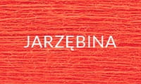 27A JARZĘBINA