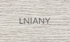 38A LNIANY
