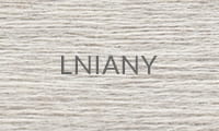 38A LNIANY