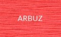 2023ARBUZ.JPG