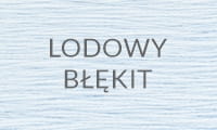 2023LODOWY BLEKIT.jpg