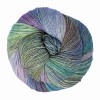 Włóczka skarpetkowa Malabrigo Ultimate Sock 416 / Indiecita