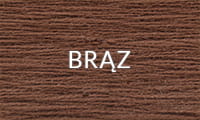 BRĄZ