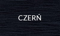 CZERŃ