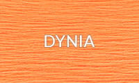DYNIA