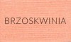BRZOSKWINIA