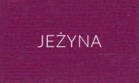 JEŻYNA