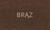 BRĄZ
