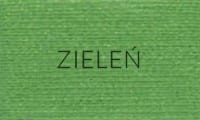 ZIELEŃ