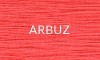 ARBUZ
