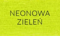 NEONOWA ZIELEŃ