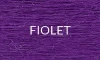 FIOLET