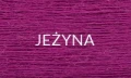 JEŻYNA