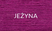 JEŻYNA