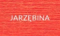 JARZĘBINA