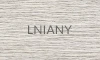 LNIANY