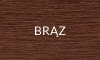 BRĄZ