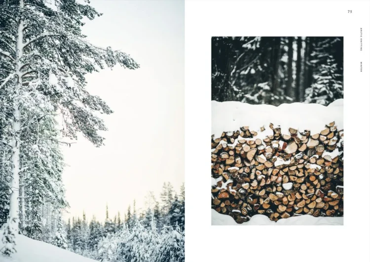 Książka Arctic Knitting – The Magic of Nature and Colourwork - w języku angielskim
