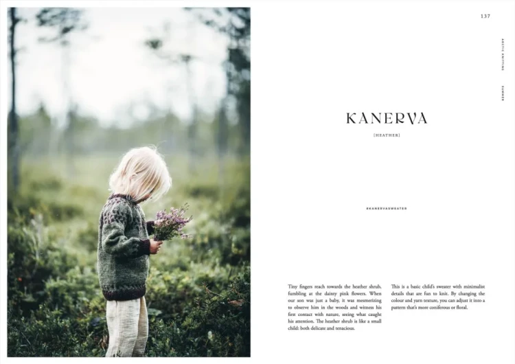 Książka Arctic Knitting – The Magic of Nature and Colourwork - w języku angielskim