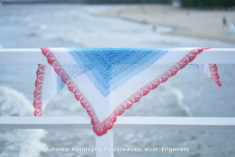 Autorka: Kasia Paluszewska "Między Motkami"; wzór Erigeneia