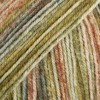 Włóczka skarpetkowa Drops Fabel 650 / leśny / long print