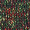 KOKONEK Eight Merino E004 - 4Ciemna zieleń/jasna zieleń/wino/bordo/czerwień, 8 nitek, 220 m, 130 g