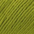Włóczka Gabo Wool Kroopa Wool 0179 / kiwi