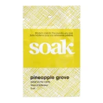 Prací prostředek Soak / Pineapple Grove / 5ml